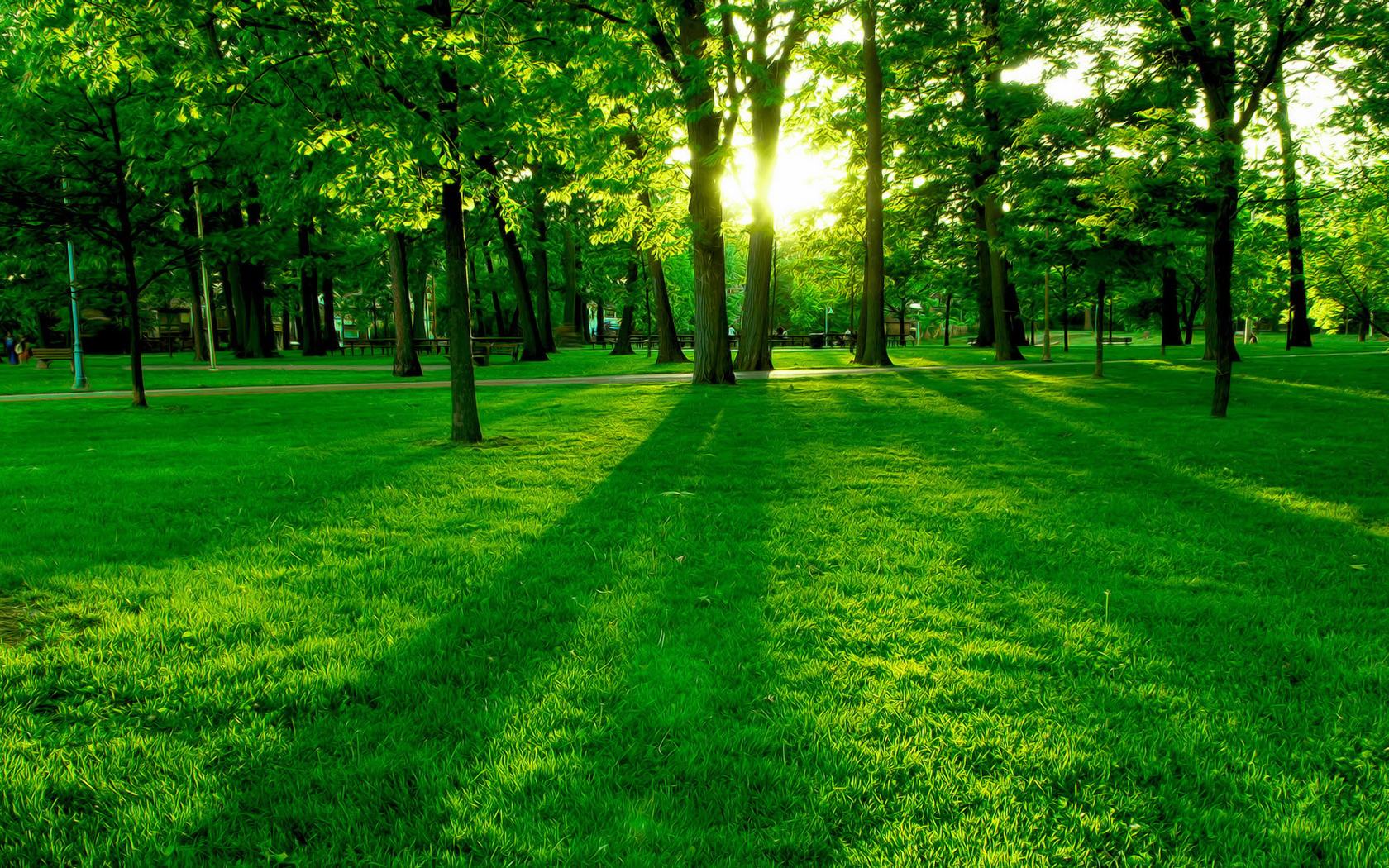 世界羽毛球赛事官方教练讲堂开播,世界羽毛球教练排名